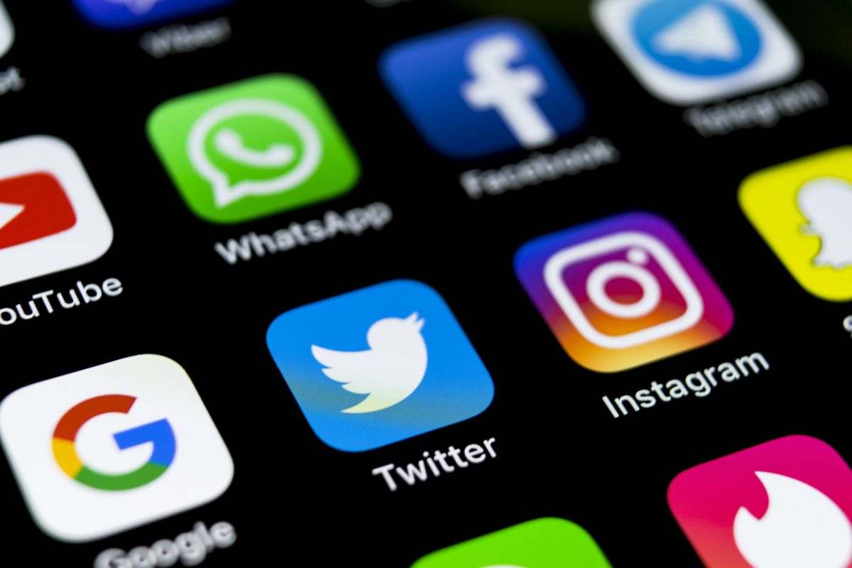 5 Ideas for Running a Social Media Campaign for a Tree Removal Service