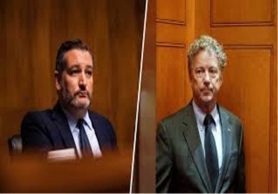 Entorno Law and the Role of Public Interest Law in Protecting Communities and the Environment