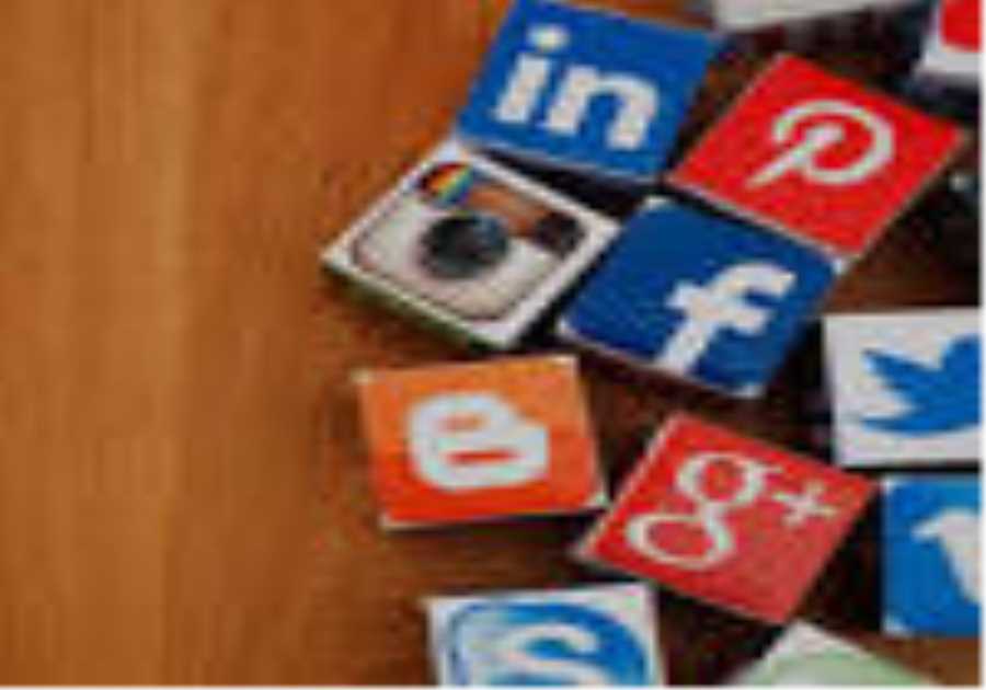 Scrolling for Shade: What Homeowners are Actually Searching for Regarding Tree Care